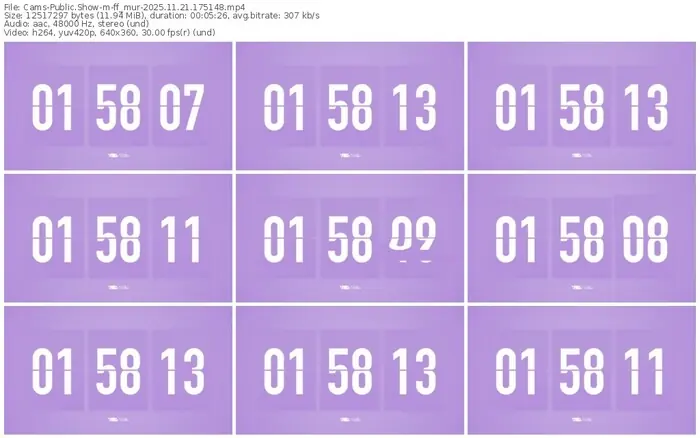 cams-ff_mur-11-21-2025-17-51-48