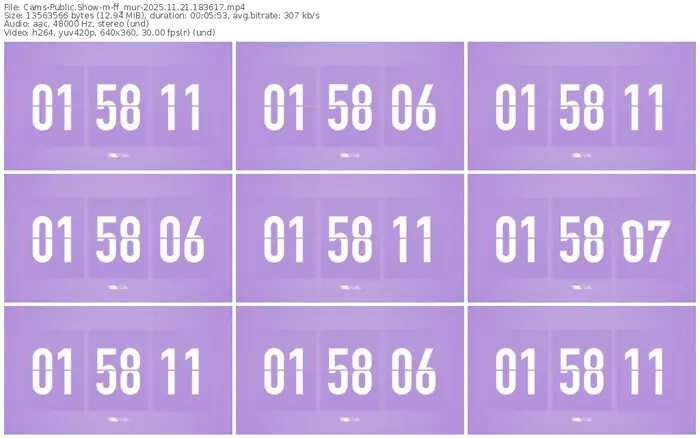 cams-ff_mur-11-21-2025-18-36-17