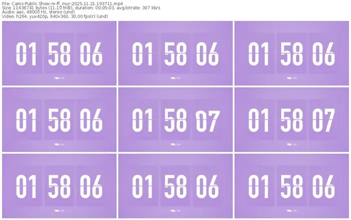 cams-ff_mur-11-21-2025-19-37-11