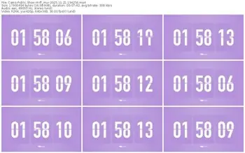 cams-ff_mur-11-21-2025-19-42-56