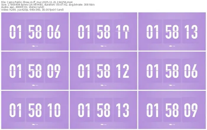 cams-ff_mur-11-21-2025-19-42-56