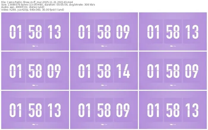 cams-ff_mur-11-21-2025-20-21-43