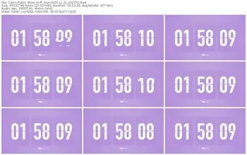 cams-ff_mur-11-21-2025-20-27-52