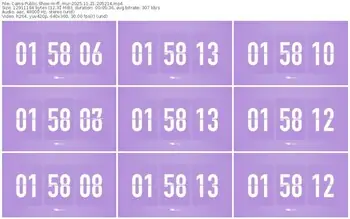 cams-ff_mur-11-21-2025-20-52-14