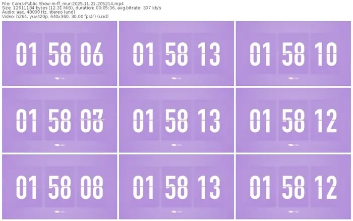 cams-ff_mur-11-21-2025-20-52-14