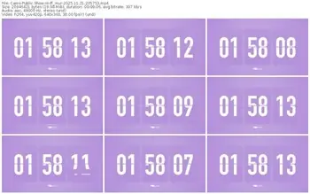 cams-ff_mur-11-21-2025-20-57-53