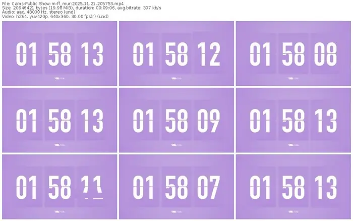 cams-ff_mur-11-21-2025-20-57-53