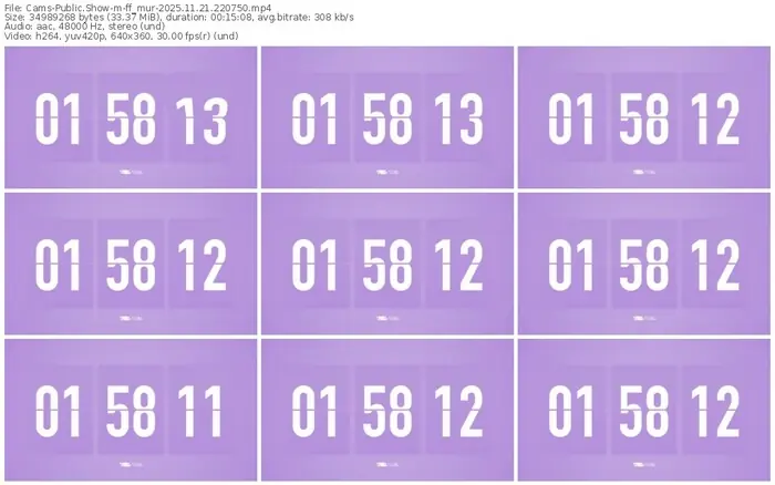 cams-ff_mur-11-21-2025-22-07-50