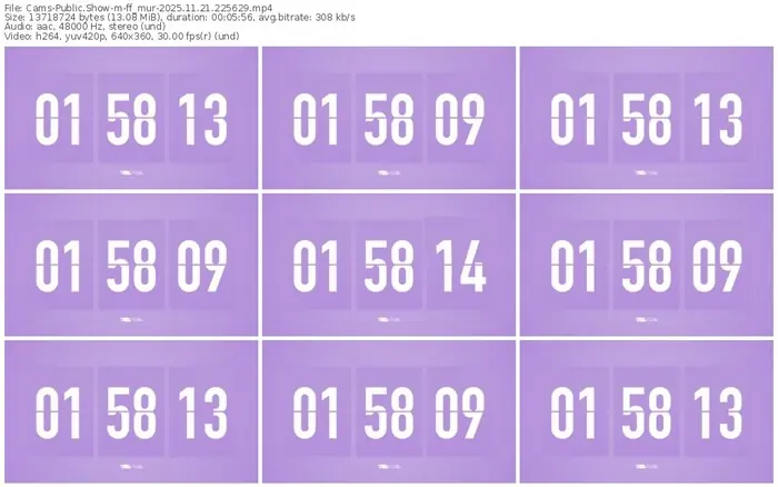 cams-ff_mur-11-21-2025-22-56-29