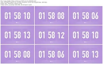 cams-ff_mur-11-21-2025-23-05-45