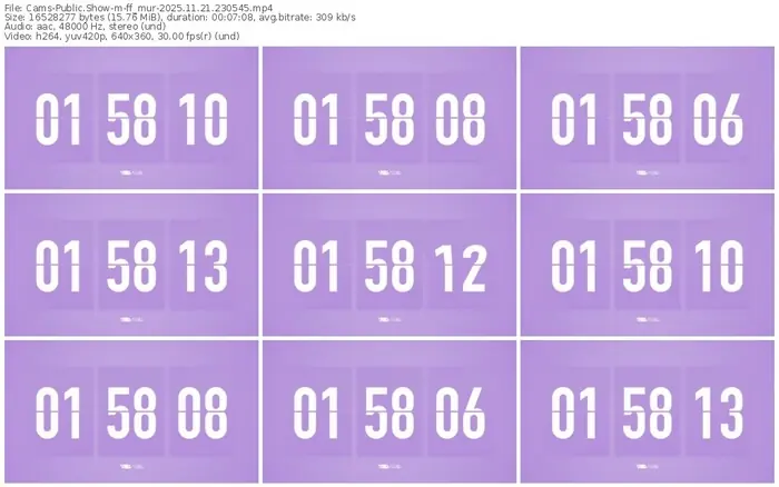 cams-ff_mur-11-21-2025-23-05-45