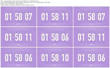 cams-ff_mur-11-21-2025-23-14-44