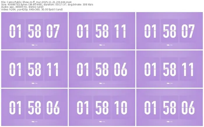 cams-ff_mur-11-21-2025-23-14-44