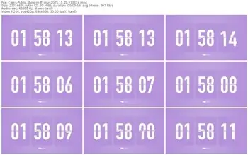 cams-ff_mur-11-21-2025-23-36-14