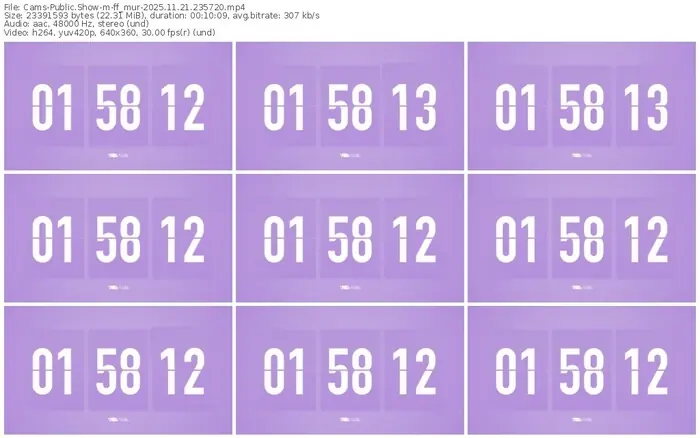 cams-ff_mur-11-21-2025-23-57-20