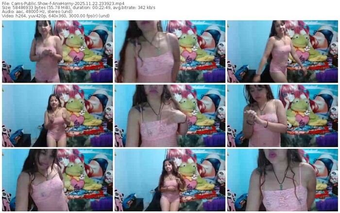 cams-aniehorny-11-22-2025-23-39-23