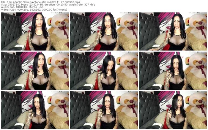 cams-antonelafiore-11-22-2025-00-09-00