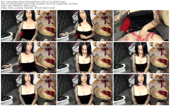 cams-antonelafiore-11-22-2025-18-34-15