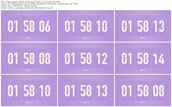 cams-ff_mur-11-22-2025-00-10-30