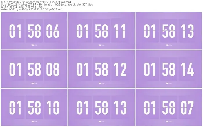 cams-ff_mur-11-22-2025-00-16-49