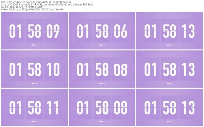 cams-ff_mur-11-22-2025-00-31-27