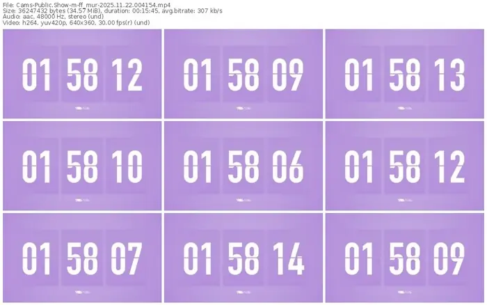 cams-ff_mur-11-22-2025-00-41-54