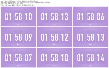 cams-ff_mur-11-22-2025-00-58-43