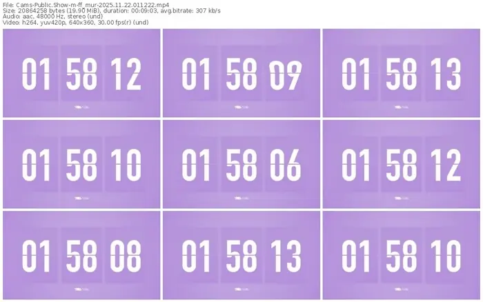 cams-ff_mur-11-22-2025-01-12-22