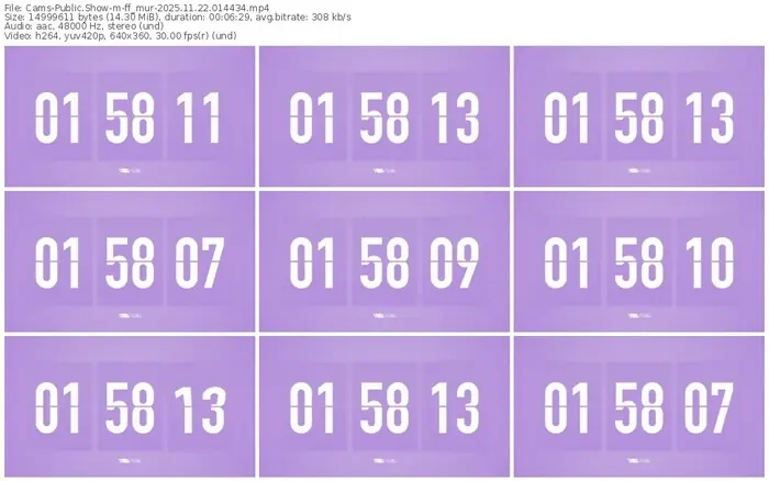 cams-ff_mur-11-22-2025-01-44-34