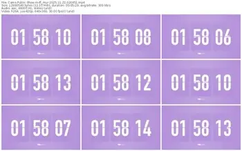 cams-ff_mur-11-22-2025-02-04-51