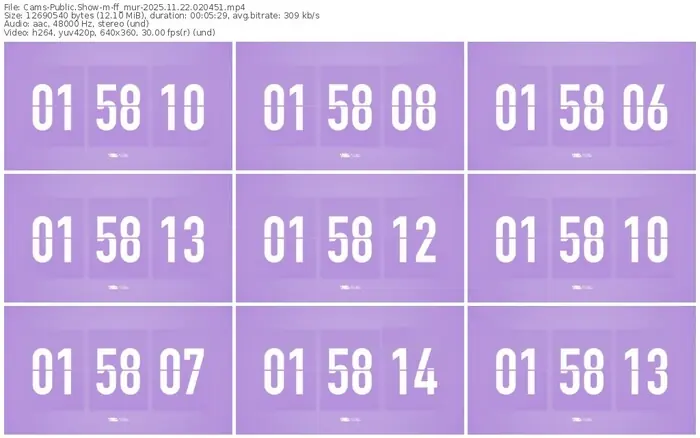 cams-ff_mur-11-22-2025-02-04-51