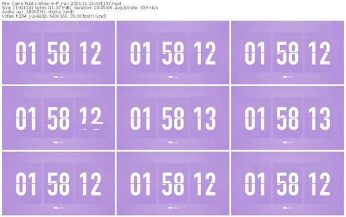 cams-ff_mur-11-22-2025-02-11-37