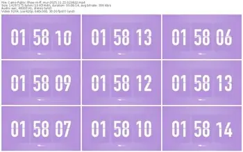 cams-ff_mur-11-22-2025-02-38-22