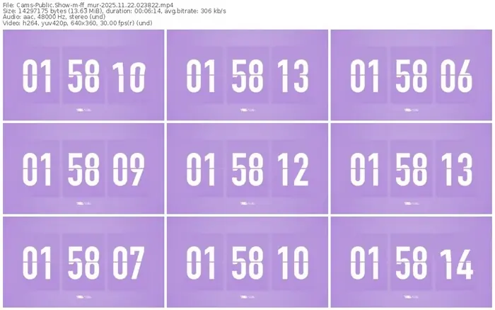 cams-ff_mur-11-22-2025-02-38-22