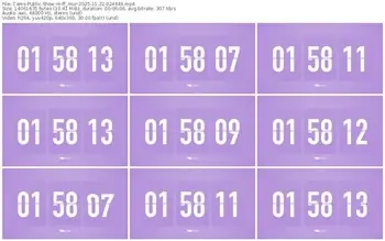 cams-ff_mur-11-22-2025-02-44-49