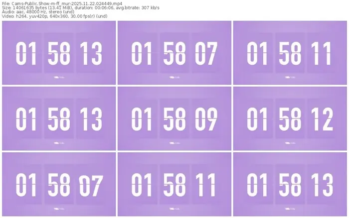 cams-ff_mur-11-22-2025-02-44-49