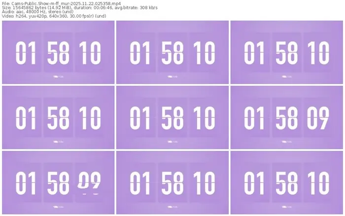 cams-ff_mur-11-22-2025-02-53-58