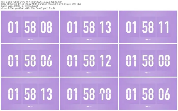 cams-ff_mur-11-22-2025-03-01-35