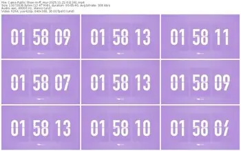 cams-ff_mur-11-22-2025-03-13-41