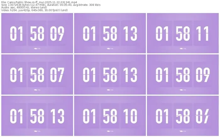 cams-ff_mur-11-22-2025-03-13-41