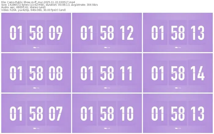 cams-ff_mur-11-22-2025-03-35-17