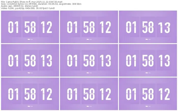 cams-ff_mur-11-22-2025-03-47-20