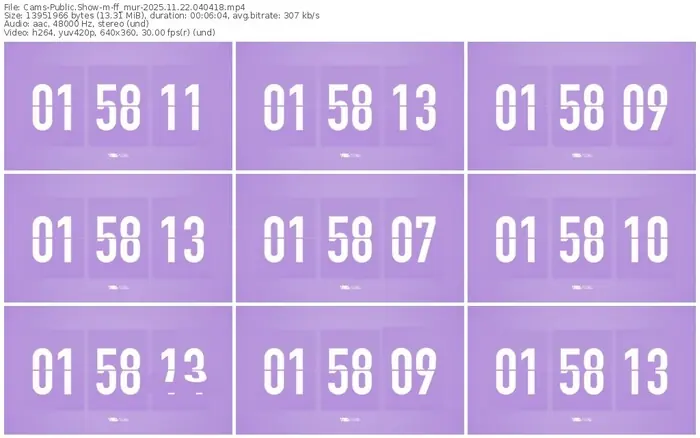 cams-ff_mur-11-22-2025-04-04-18