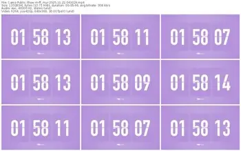 cams-ff_mur-11-22-2025-04-30-29