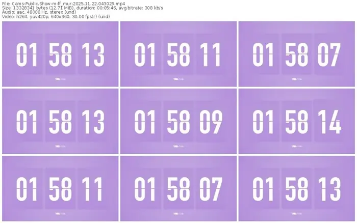 cams-ff_mur-11-22-2025-04-30-29