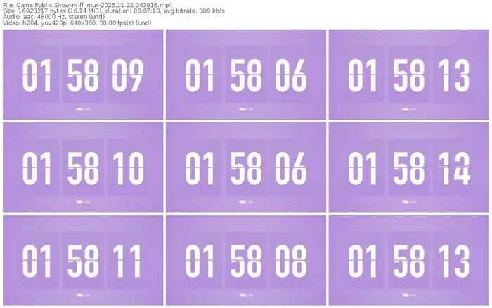 cams-ff_mur-11-22-2025-04-39-16