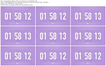 cams-ff_mur-11-22-2025-05-37-00