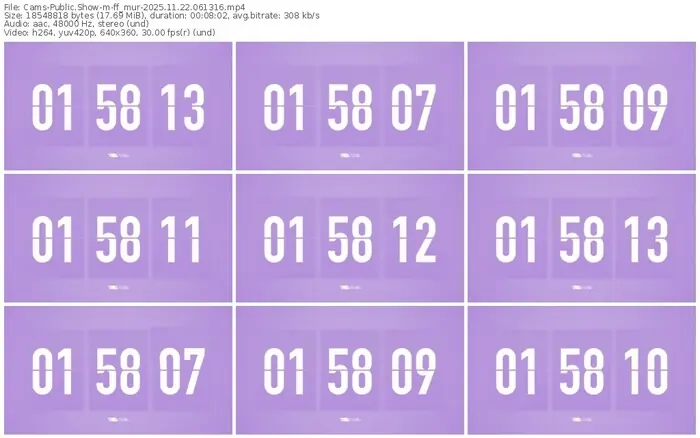 cams-ff_mur-11-22-2025-06-13-16