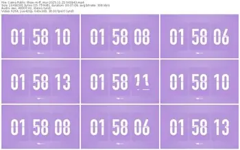 cams-ff_mur-11-22-2025-06-39-43