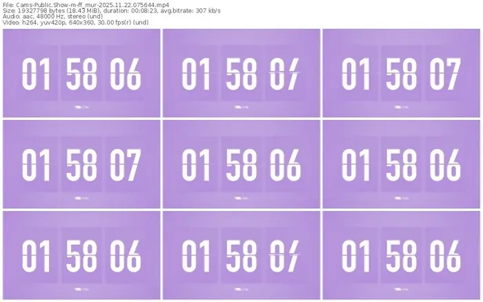 cams-ff_mur-11-22-2025-07-56-44